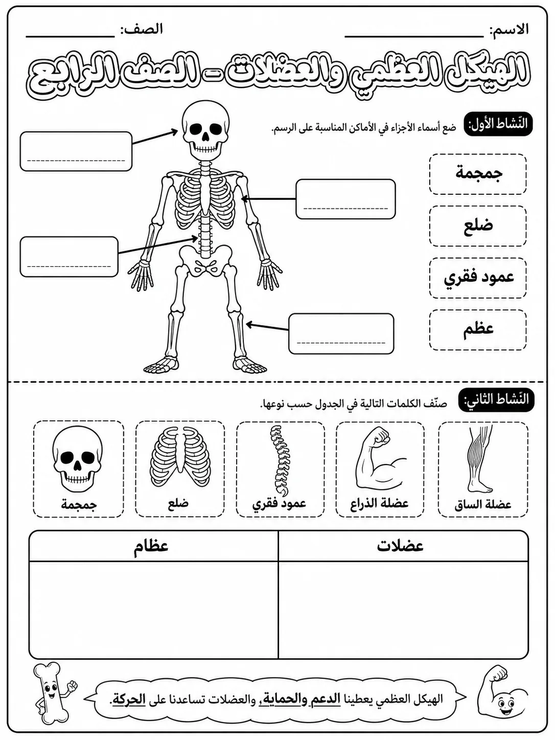 الهيكل العظمي والعضلات - الصف الرابع صفحة 2 من مورد علوم عربي