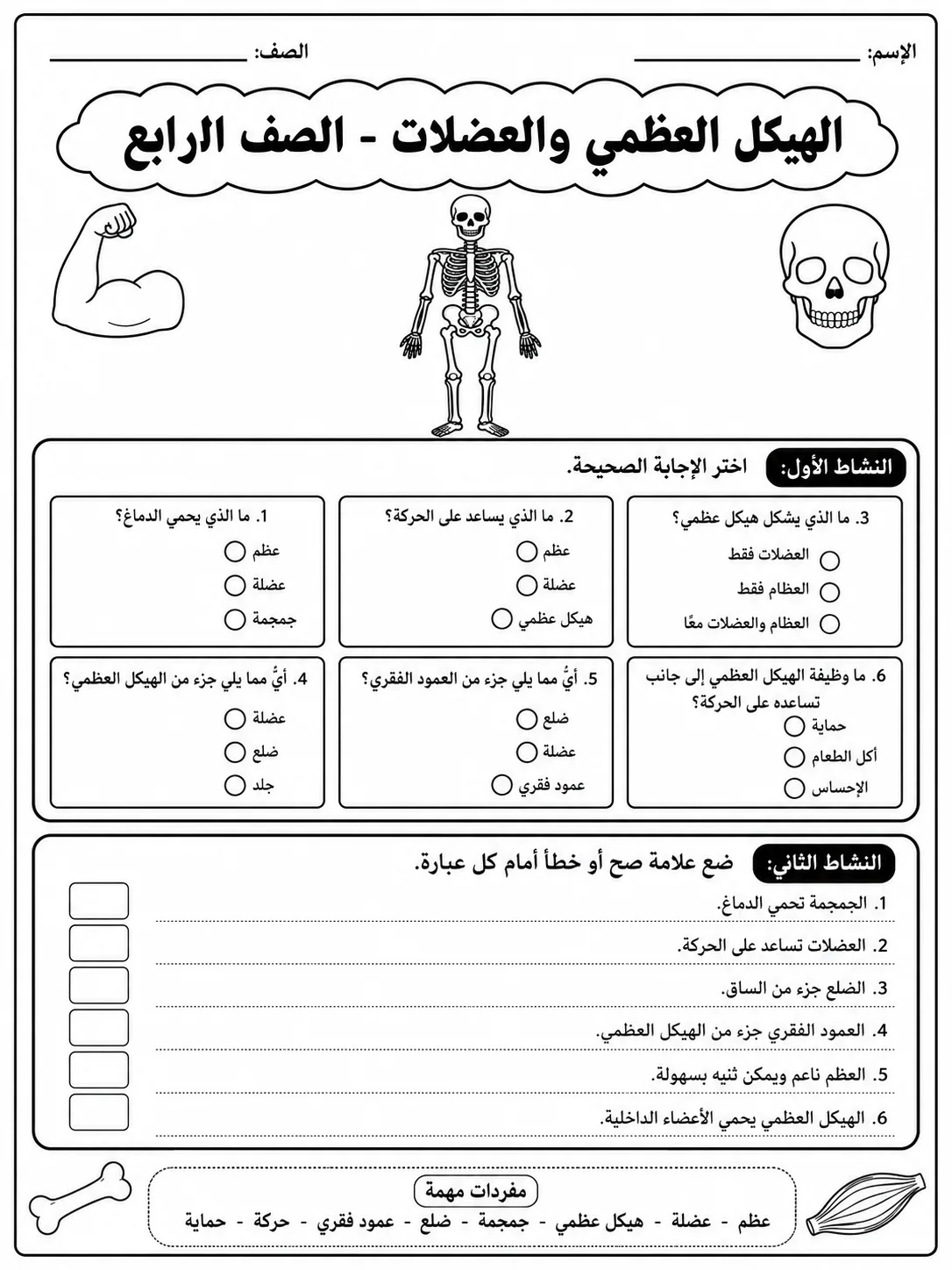 الهيكل العظمي والعضلات - الصف الرابع صفحة 3 من مورد علوم عربي