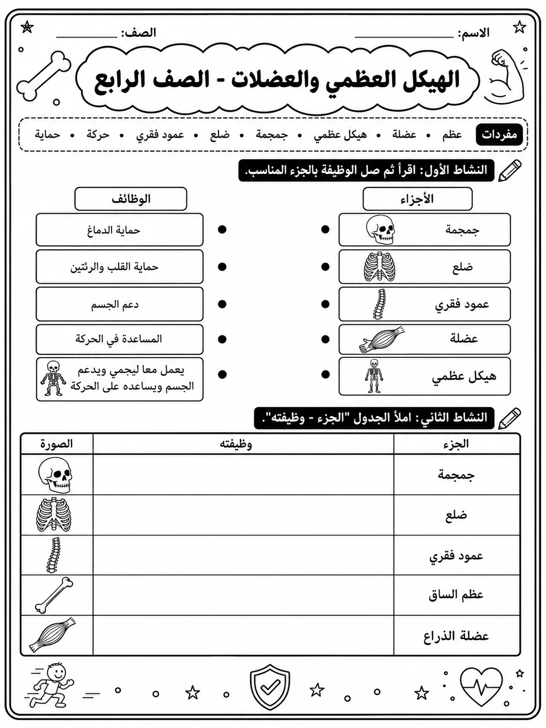 الهيكل العظمي والعضلات - الصف الرابع صفحة 5 من مورد علوم عربي