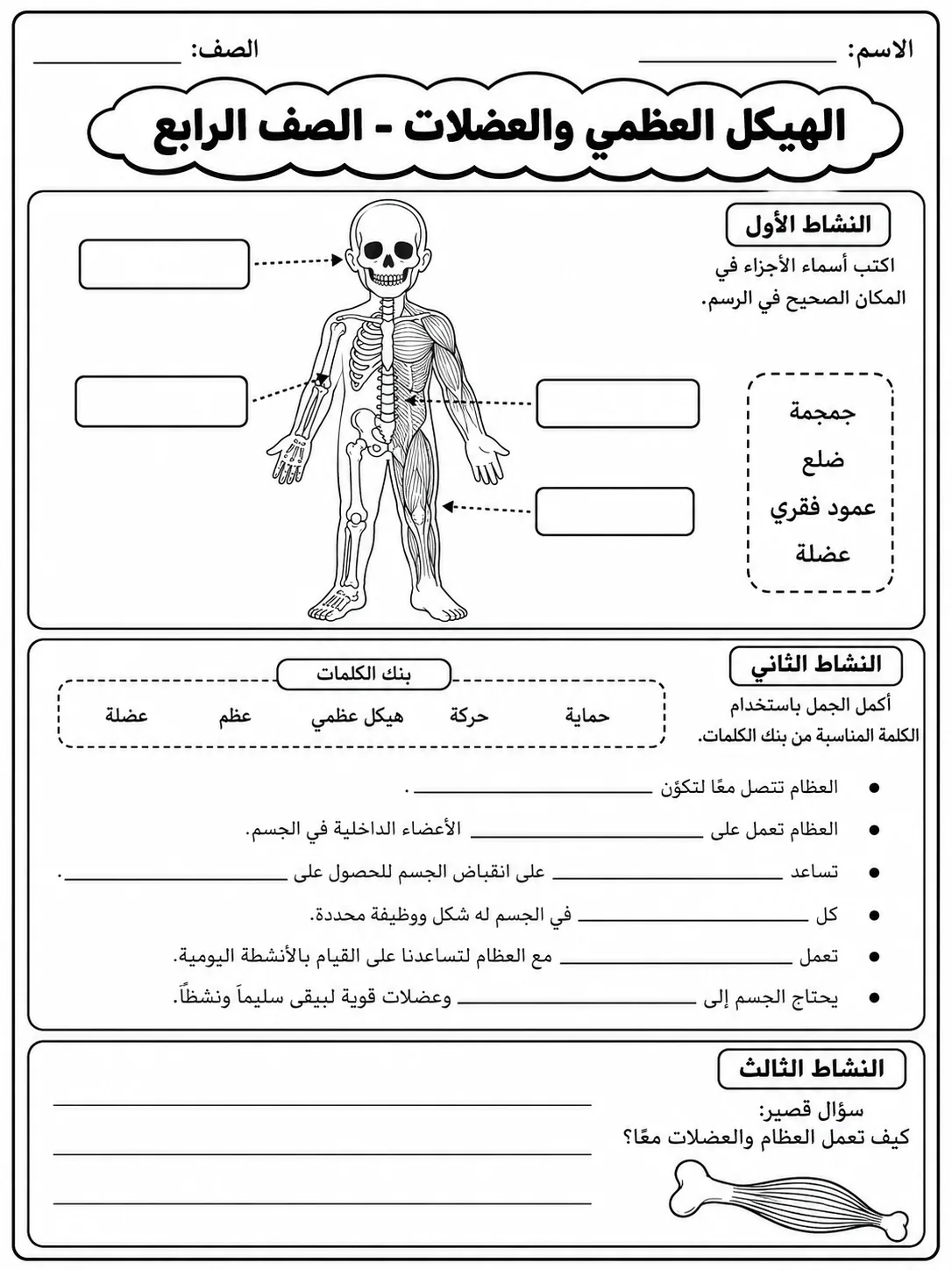 الهيكل العظمي والعضلات - الصف الرابع صفحة 6 من مورد علوم عربي