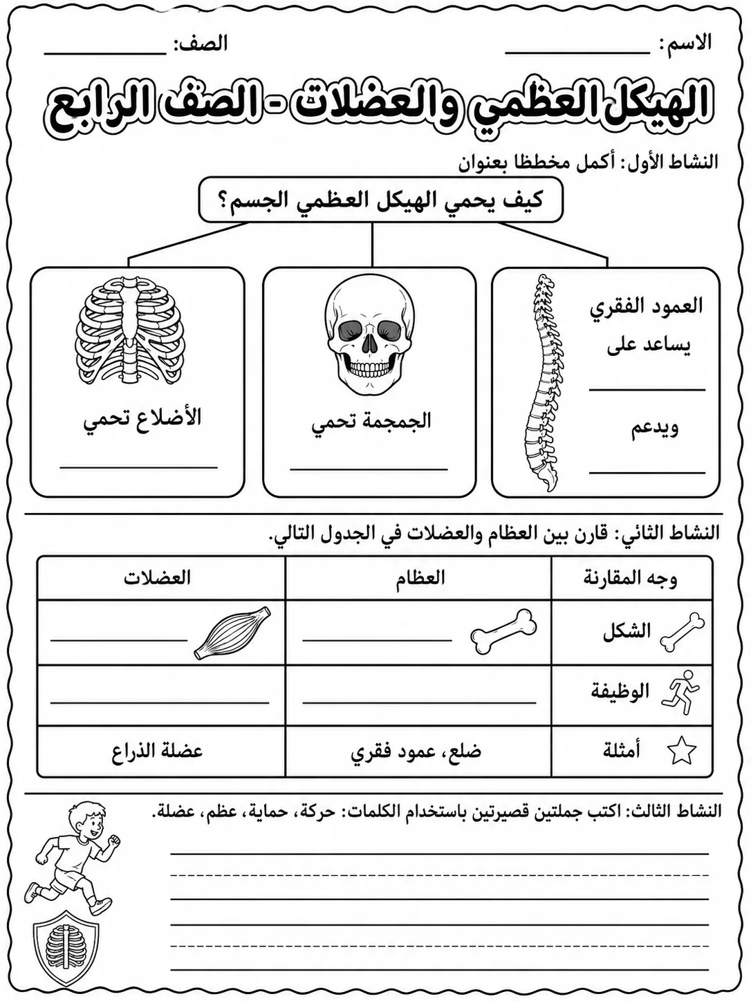 الهيكل العظمي والعضلات - الصف الرابع صفحة 8 من مورد علوم عربي