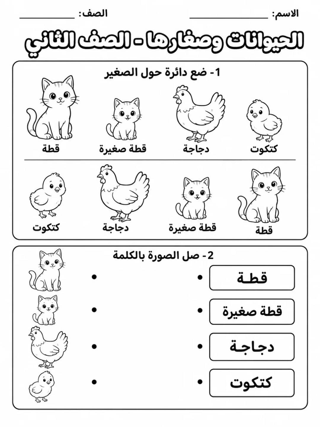 الحيوانات وصغارها - الصف الثاني - ورقة عمل علوم عربية PDF للطلاب