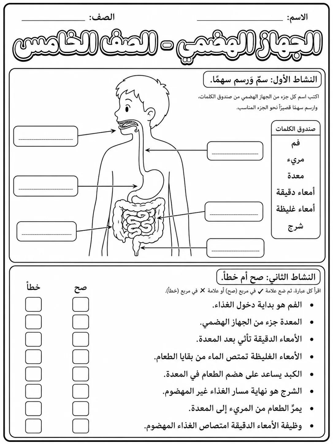الجهاز الهضمي - الصف الخامس صفحة 3 من مورد علوم عربي