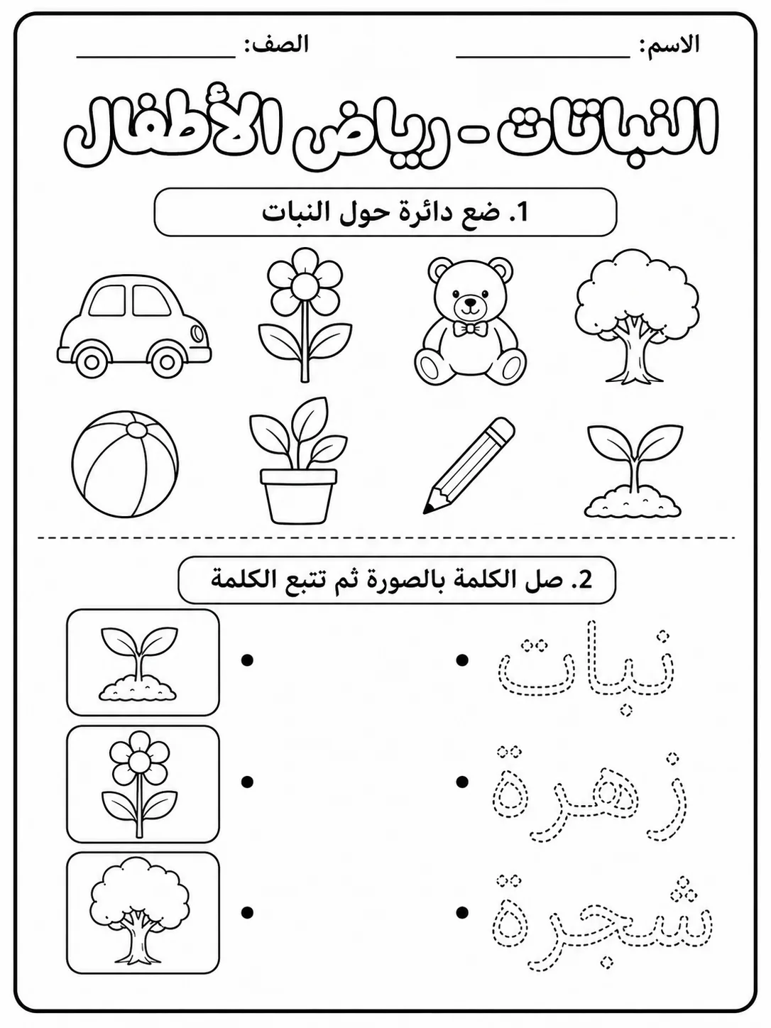 النباتات - رياض الأطفال - ورقة عمل علوم عربية PDF للطلاب
