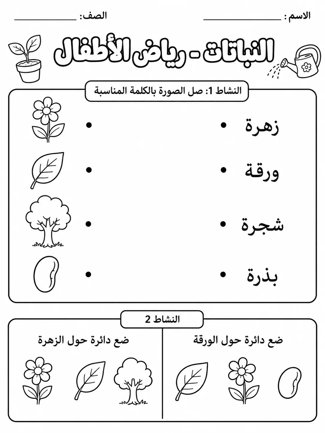 النباتات - رياض الأطفال صفحة 2 من مورد علوم عربي