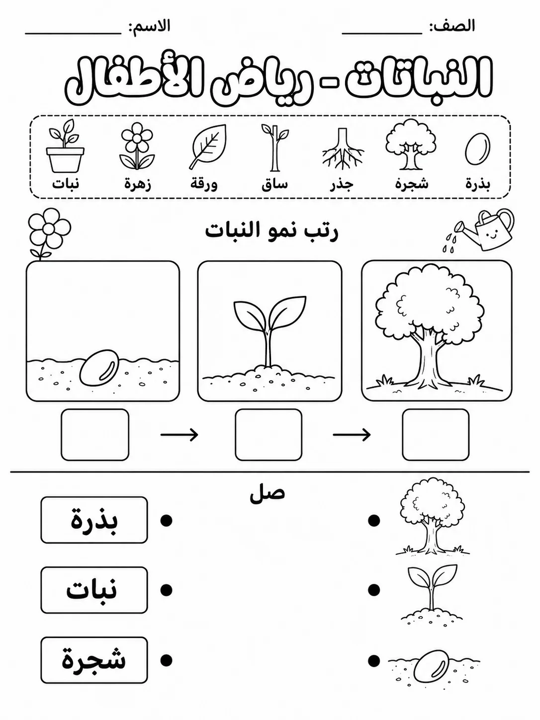 النباتات - رياض الأطفال صفحة 4 من مورد علوم عربي