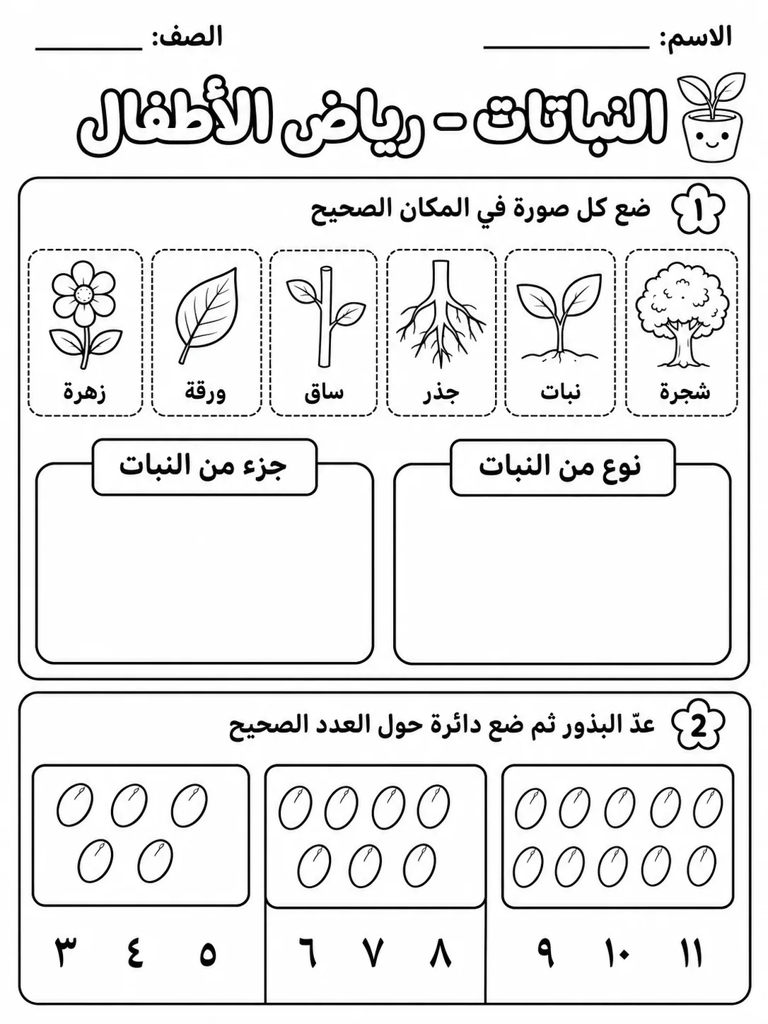 النباتات - رياض الأطفال صفحة 5 من مورد علوم عربي