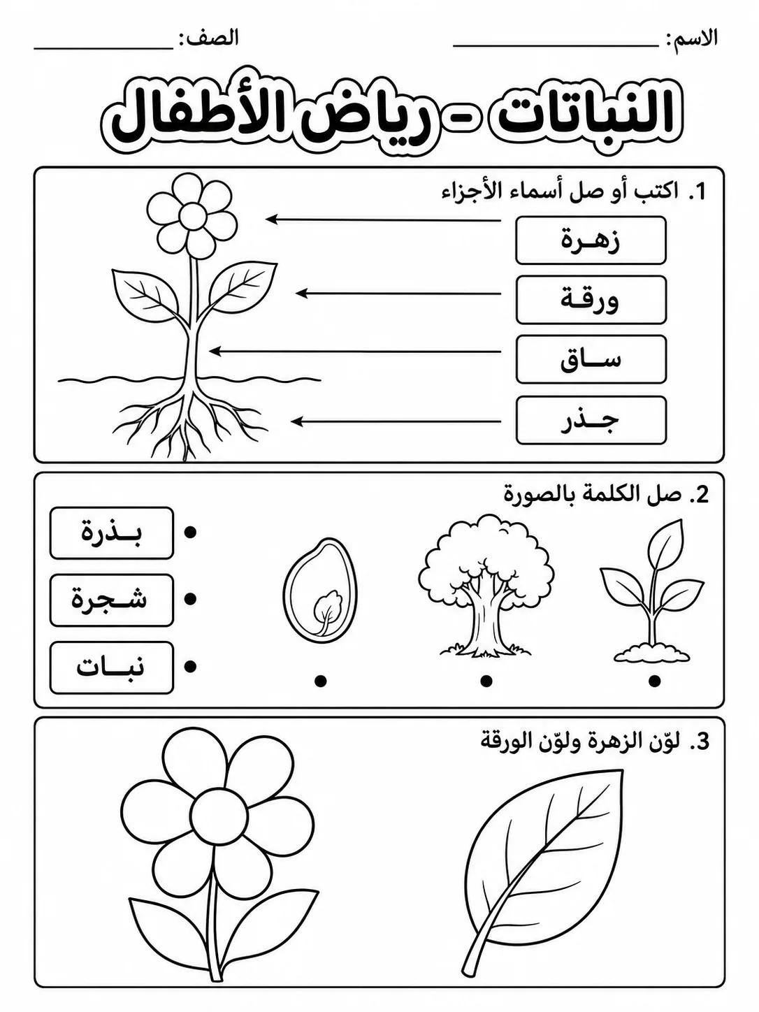 النباتات - رياض الأطفال صفحة 6 من مورد علوم عربي