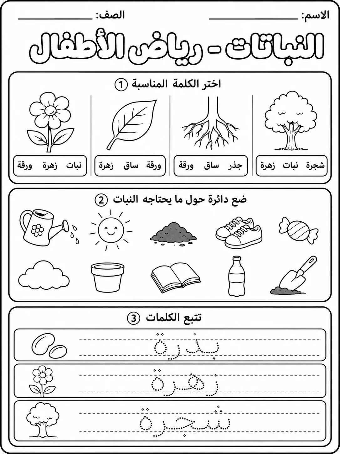 النباتات - رياض الأطفال صفحة 7 من مورد علوم عربي