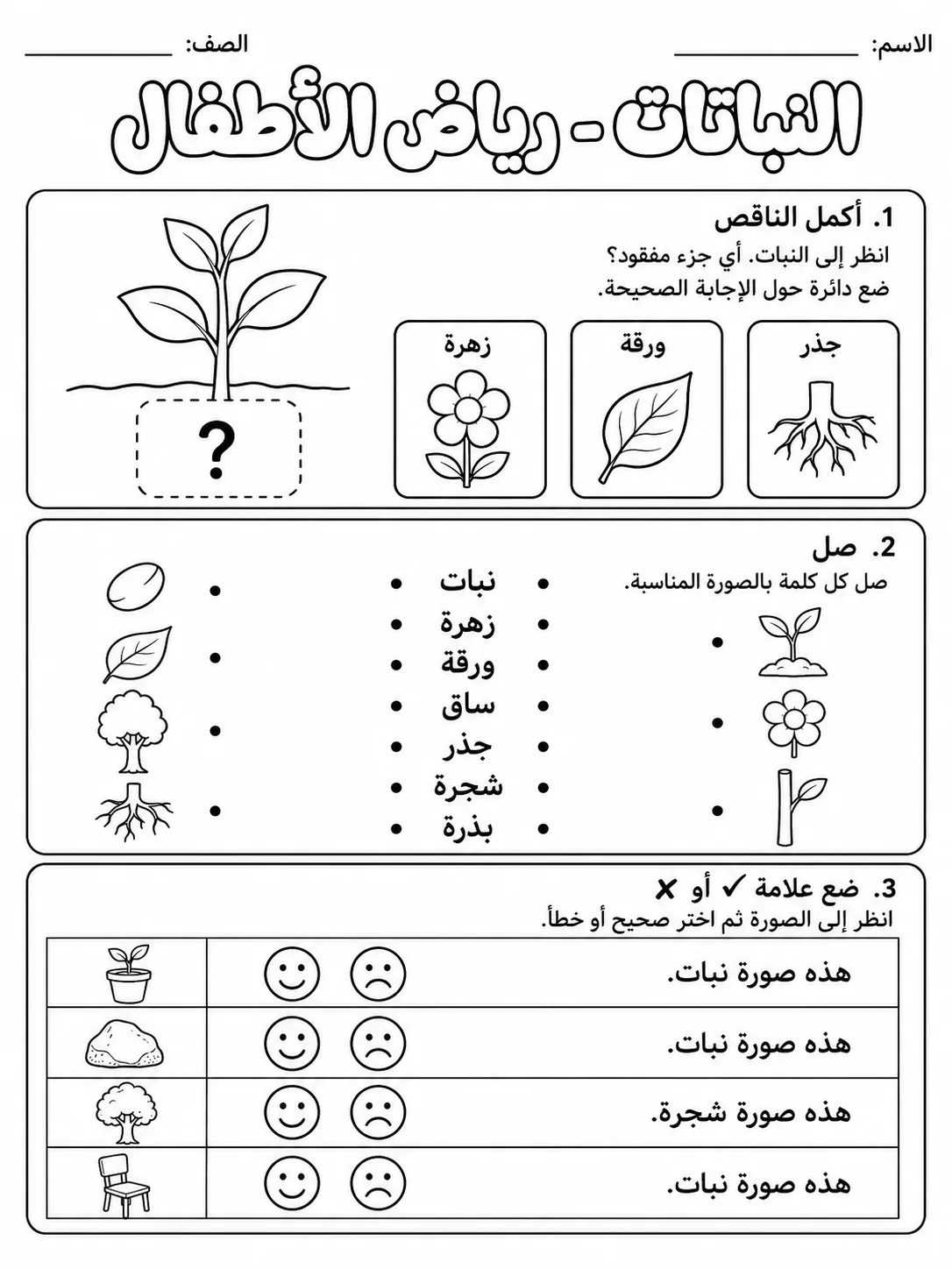 النباتات - رياض الأطفال صفحة 9 من مورد علوم عربي