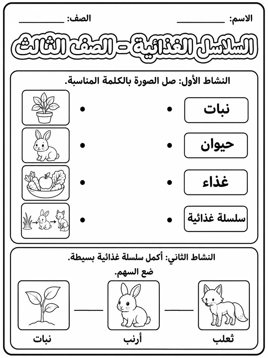 السلاسل الغذائية - الصف الثالث - ورقة عمل علوم عربية PDF للطلاب