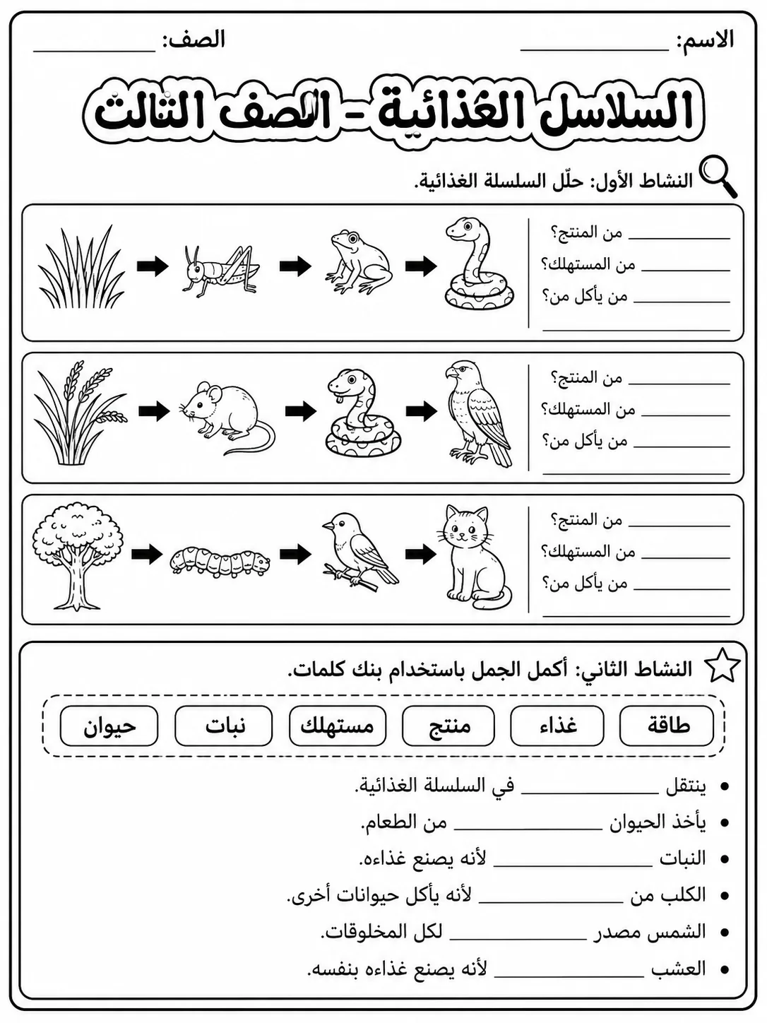 السلاسل الغذائية - الصف الثالث صفحة 6 من مورد علوم عربي