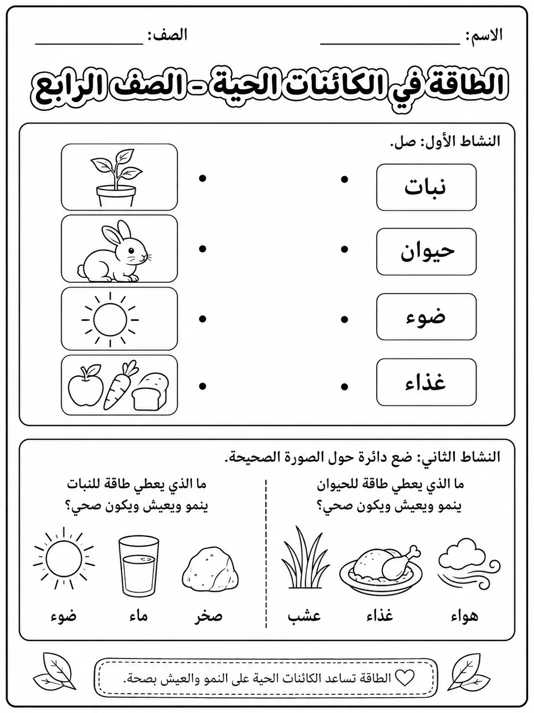 الطاقة في الكائنات الحية - الصف الرابع - ورقة عمل علوم عربية PDF للطلاب