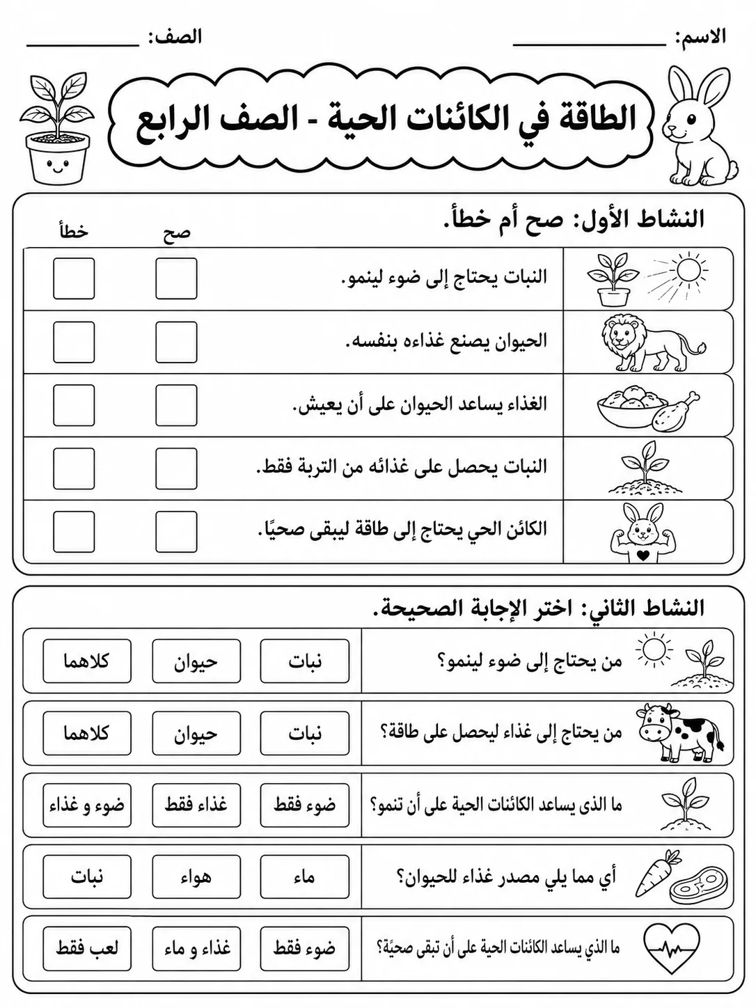 الطاقة في الكائنات الحية - الصف الرابع صفحة 3 من مورد علوم عربي