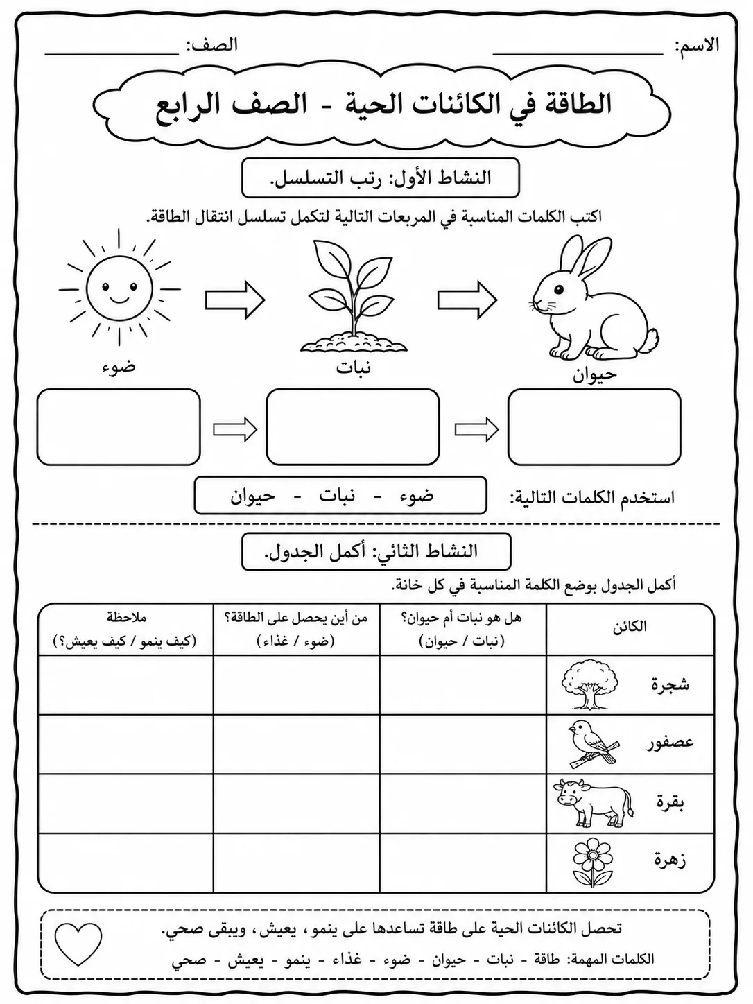 الطاقة في الكائنات الحية - الصف الرابع صفحة 5 من مورد علوم عربي