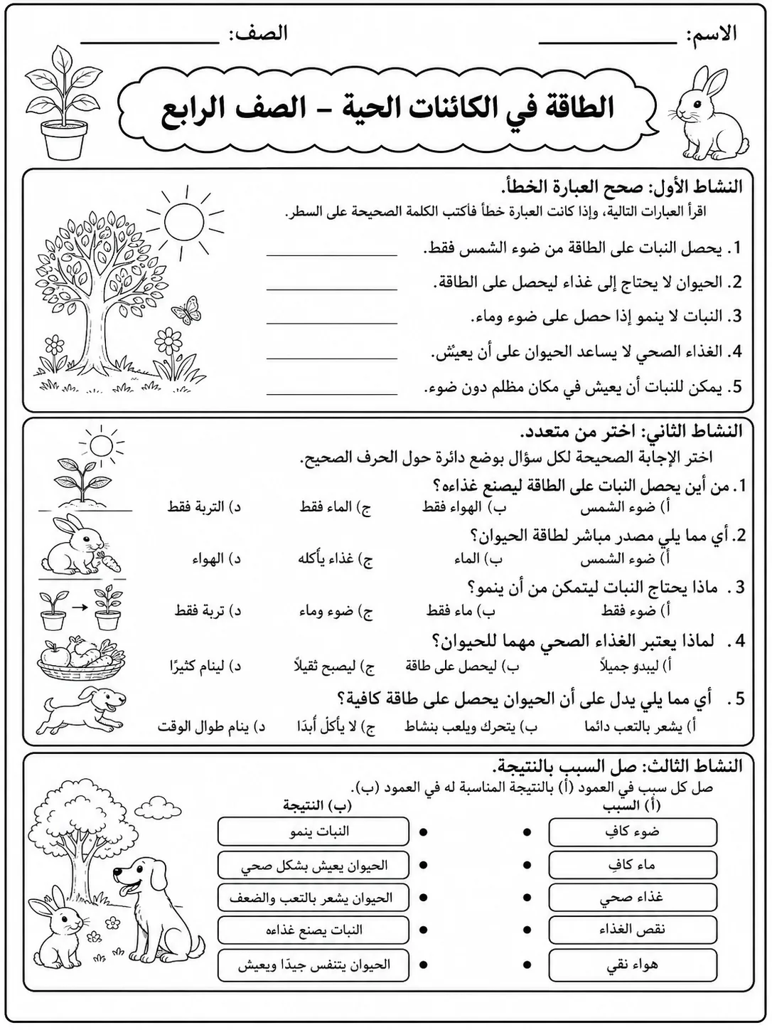 الطاقة في الكائنات الحية - الصف الرابع صفحة 7 من مورد علوم عربي