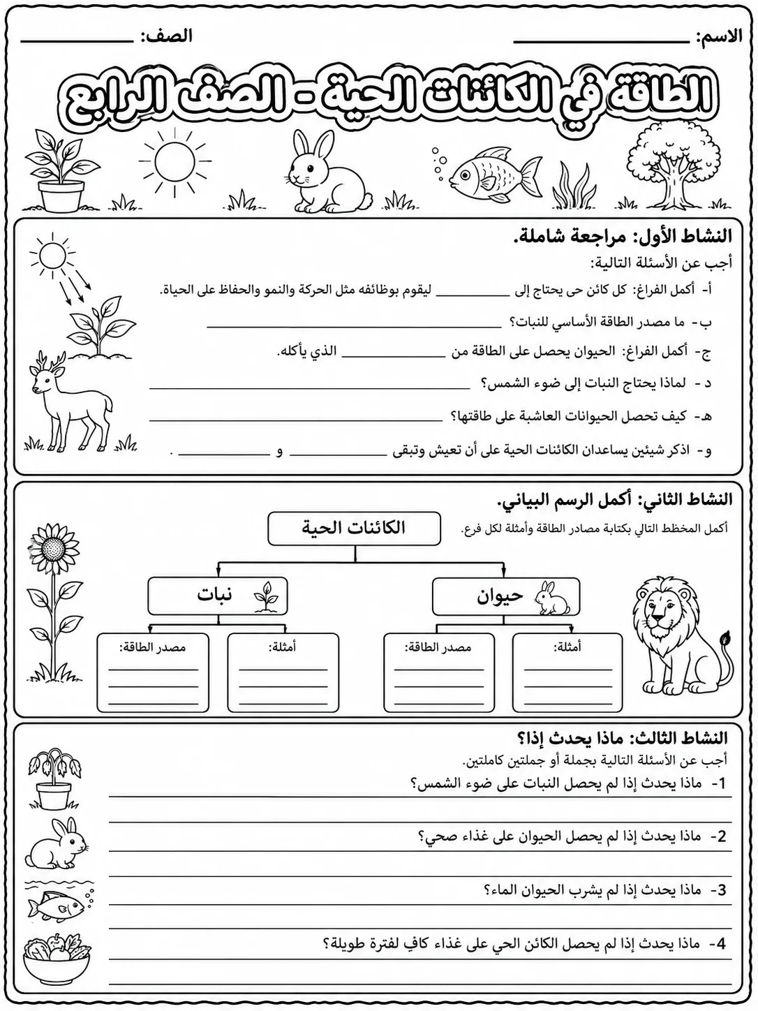 الطاقة في الكائنات الحية - الصف الرابع صفحة 9 من مورد علوم عربي