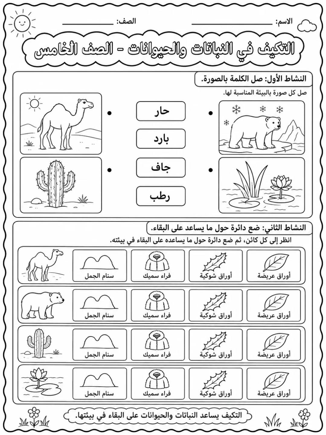 التكيف في النباتات والحيوانات - الصف الخامس - ورقة عمل علوم عربية PDF للطلاب