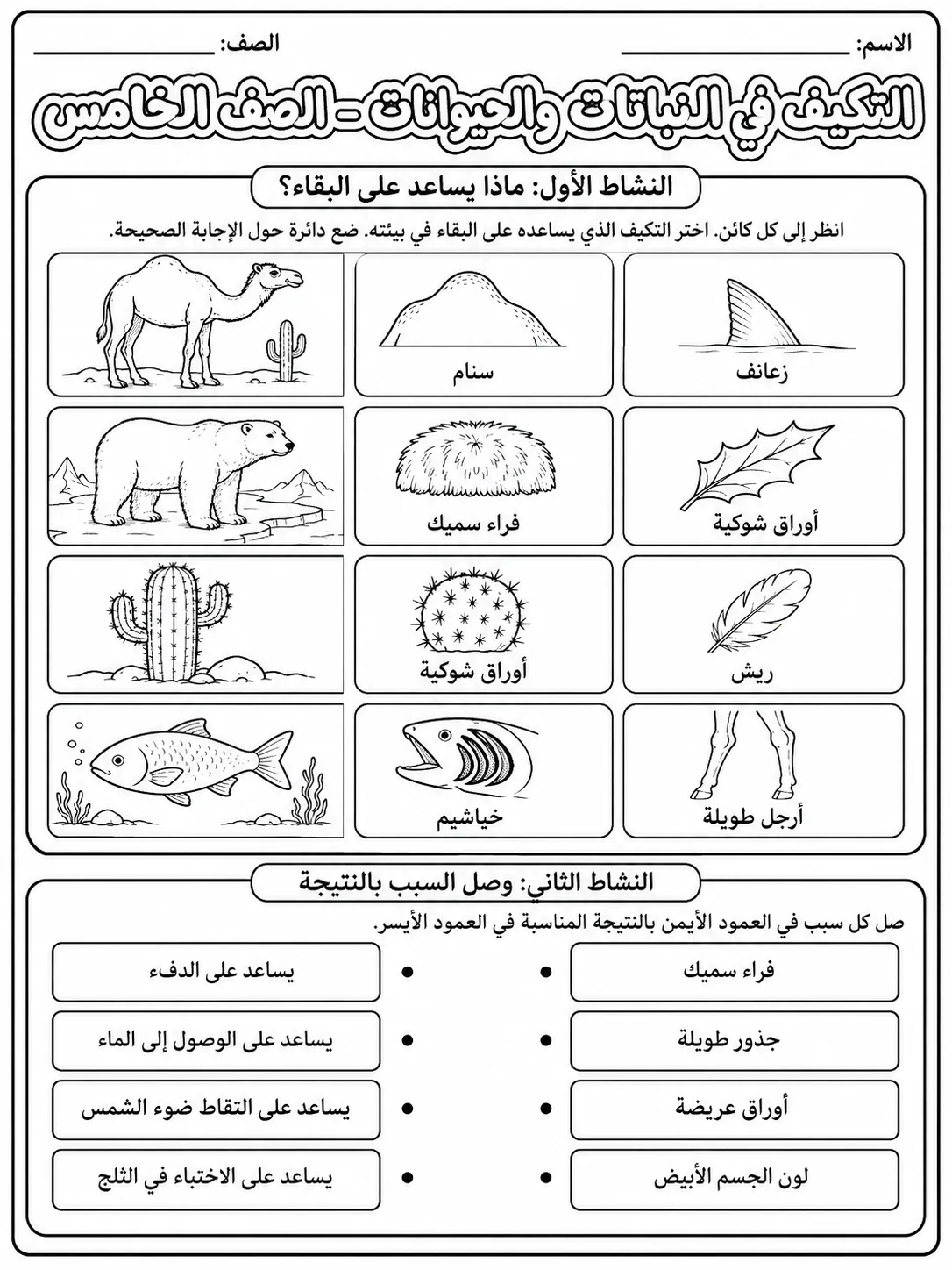 التكيف في النباتات والحيوانات - الصف الخامس صفحة 4 من مورد علوم عربي