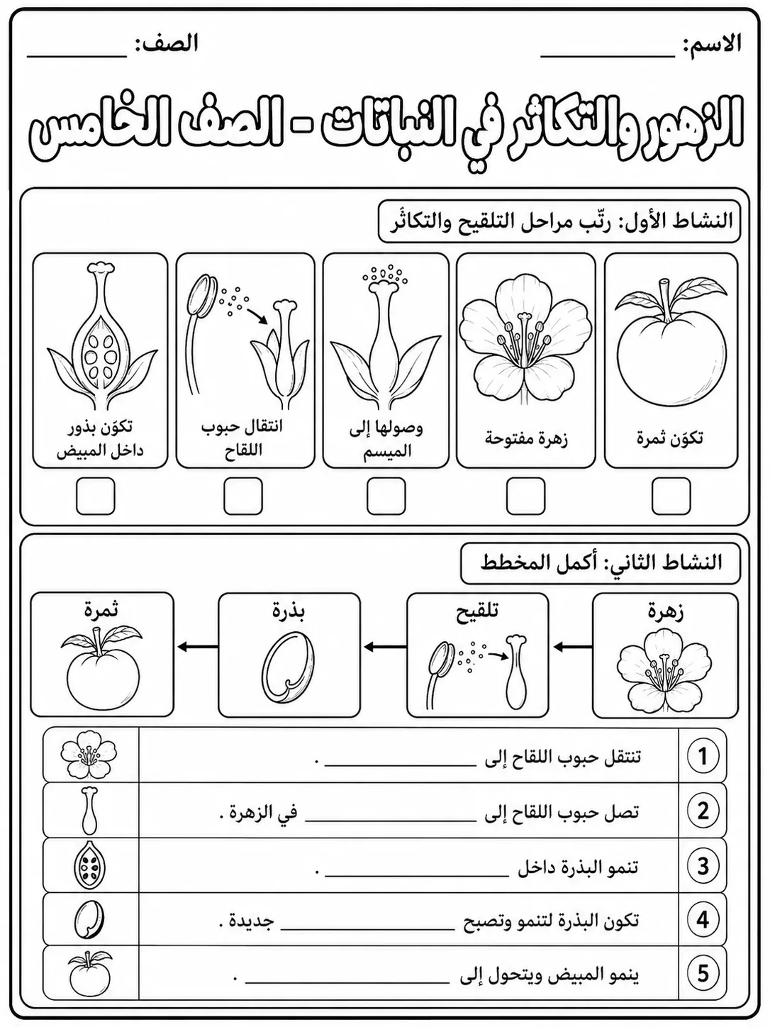 الزهور والتكاثر في النباتات - الصف الخامس صفحة 3 من مورد علوم عربي