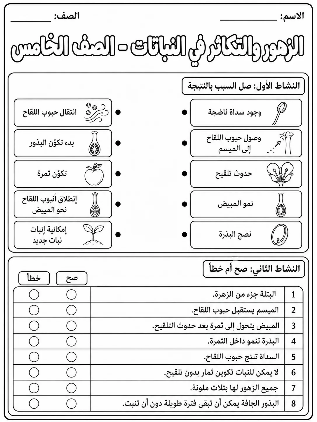 الزهور والتكاثر في النباتات - الصف الخامس صفحة 4 من مورد علوم عربي
