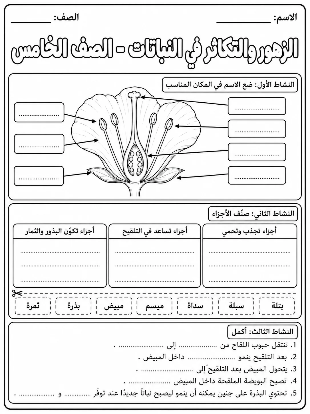 الزهور والتكاثر في النباتات - الصف الخامس صفحة 5 من مورد علوم عربي