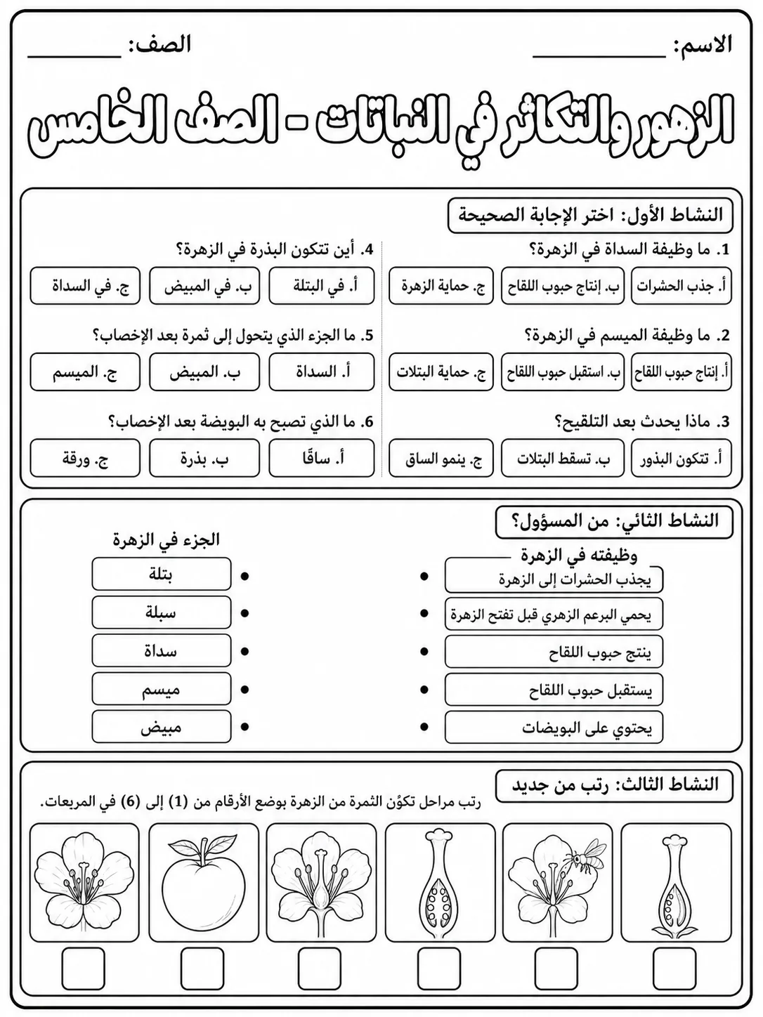 الزهور والتكاثر في النباتات - الصف الخامس صفحة 6 من مورد علوم عربي