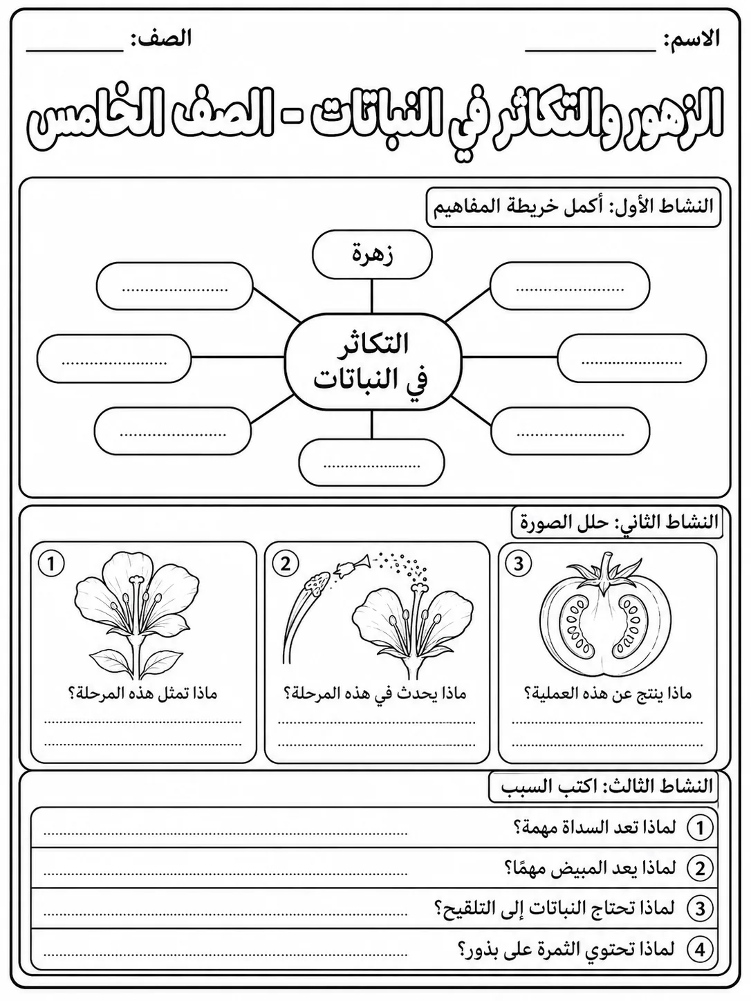 الزهور والتكاثر في النباتات - الصف الخامس صفحة 8 من مورد علوم عربي