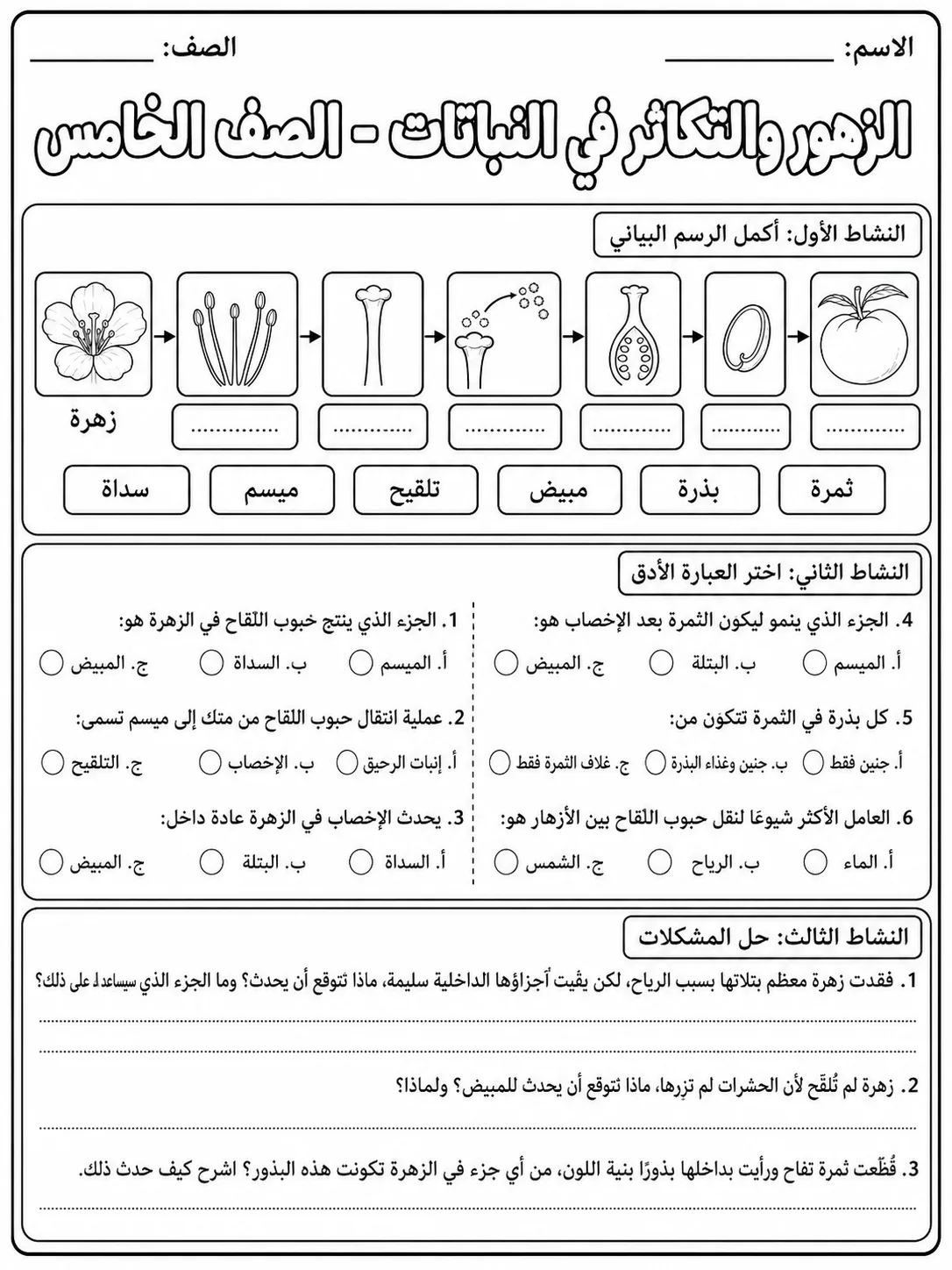 الزهور والتكاثر في النباتات - الصف الخامس صفحة 9 من مورد علوم عربي