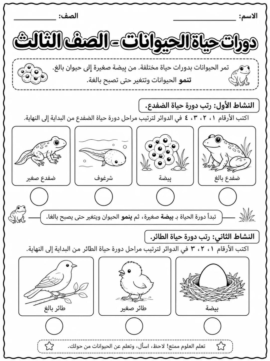 دورات حياة الحيوانات - الصف الثالث صفحة 2 من مورد علوم عربي