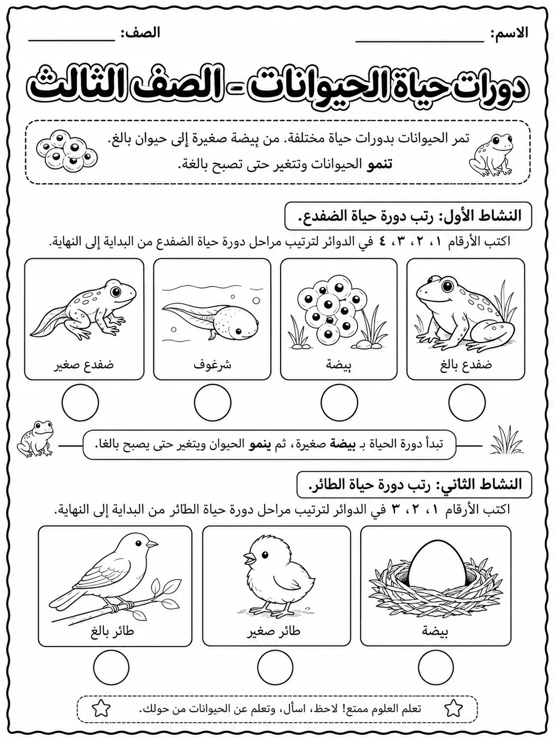 دورات حياة الحيوانات - الصف الثالث صفحة 2 من مورد علوم عربي
