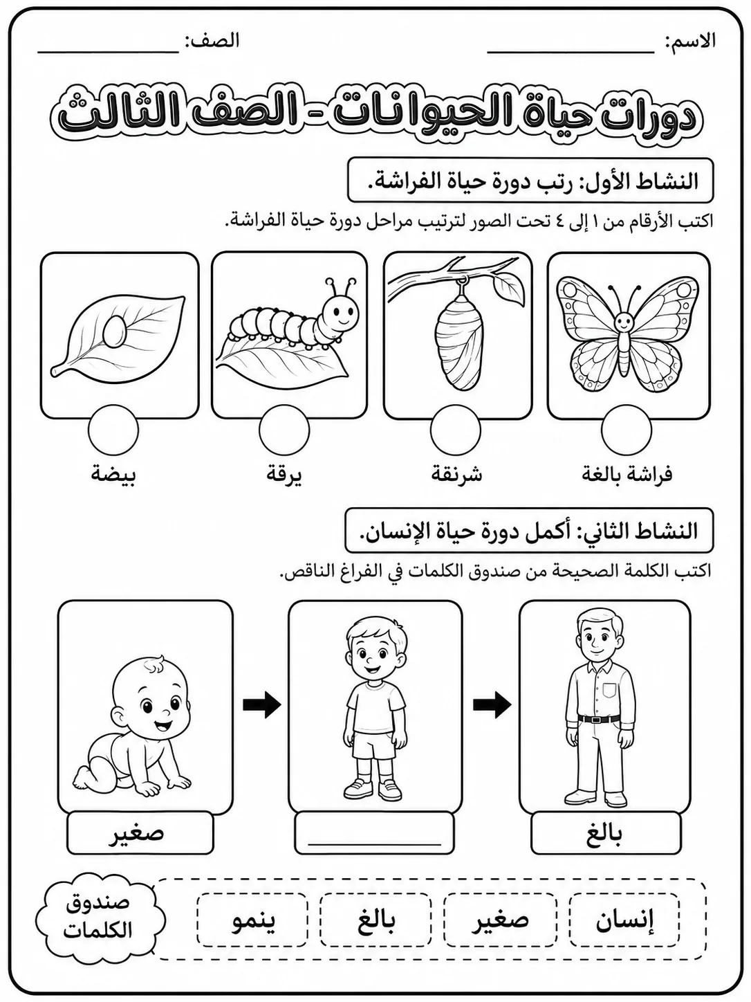 دورات حياة الحيوانات - الصف الثالث صفحة 3 من مورد علوم عربي