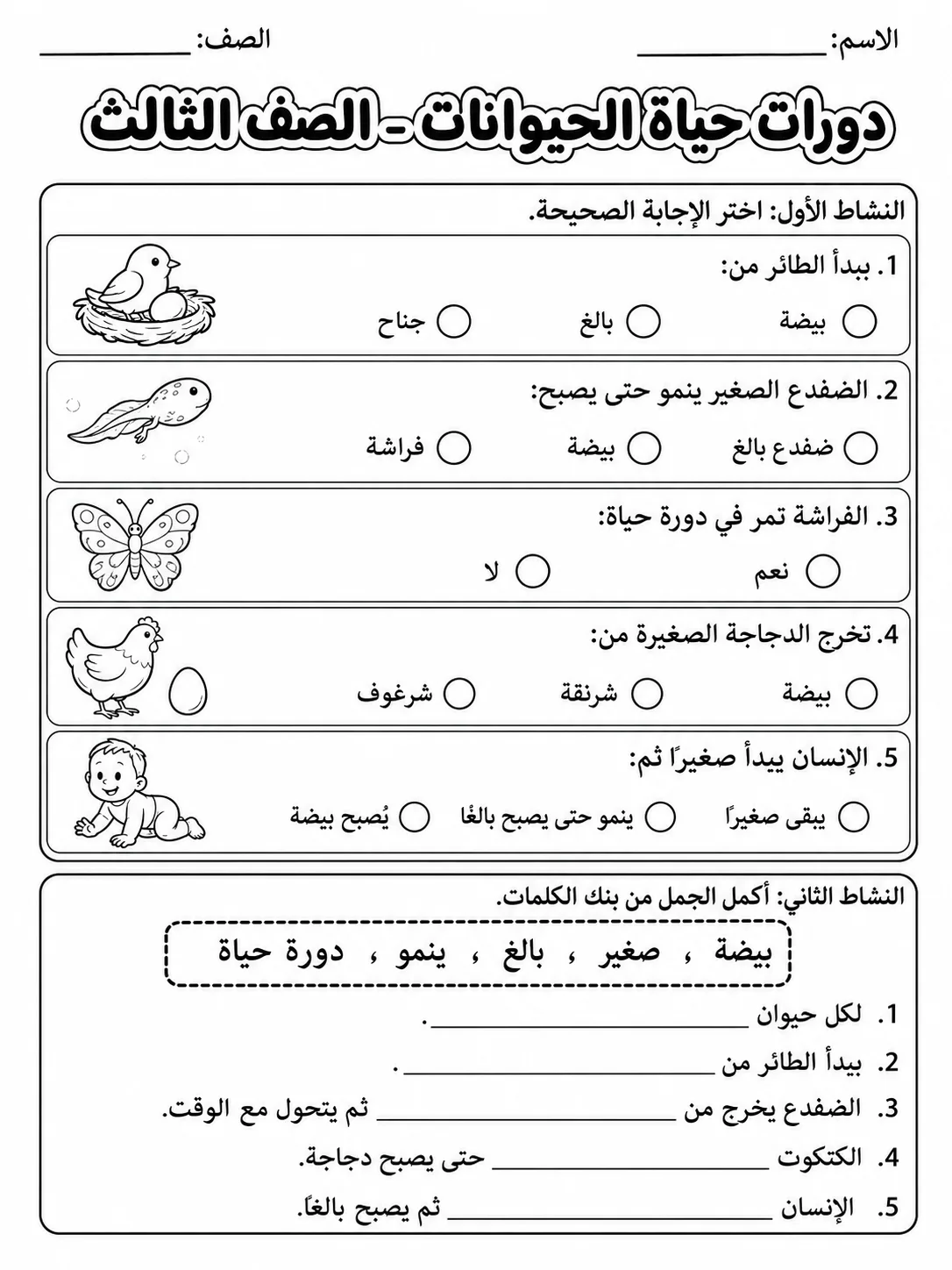 دورات حياة الحيوانات - الصف الثالث صفحة 5 من مورد علوم عربي