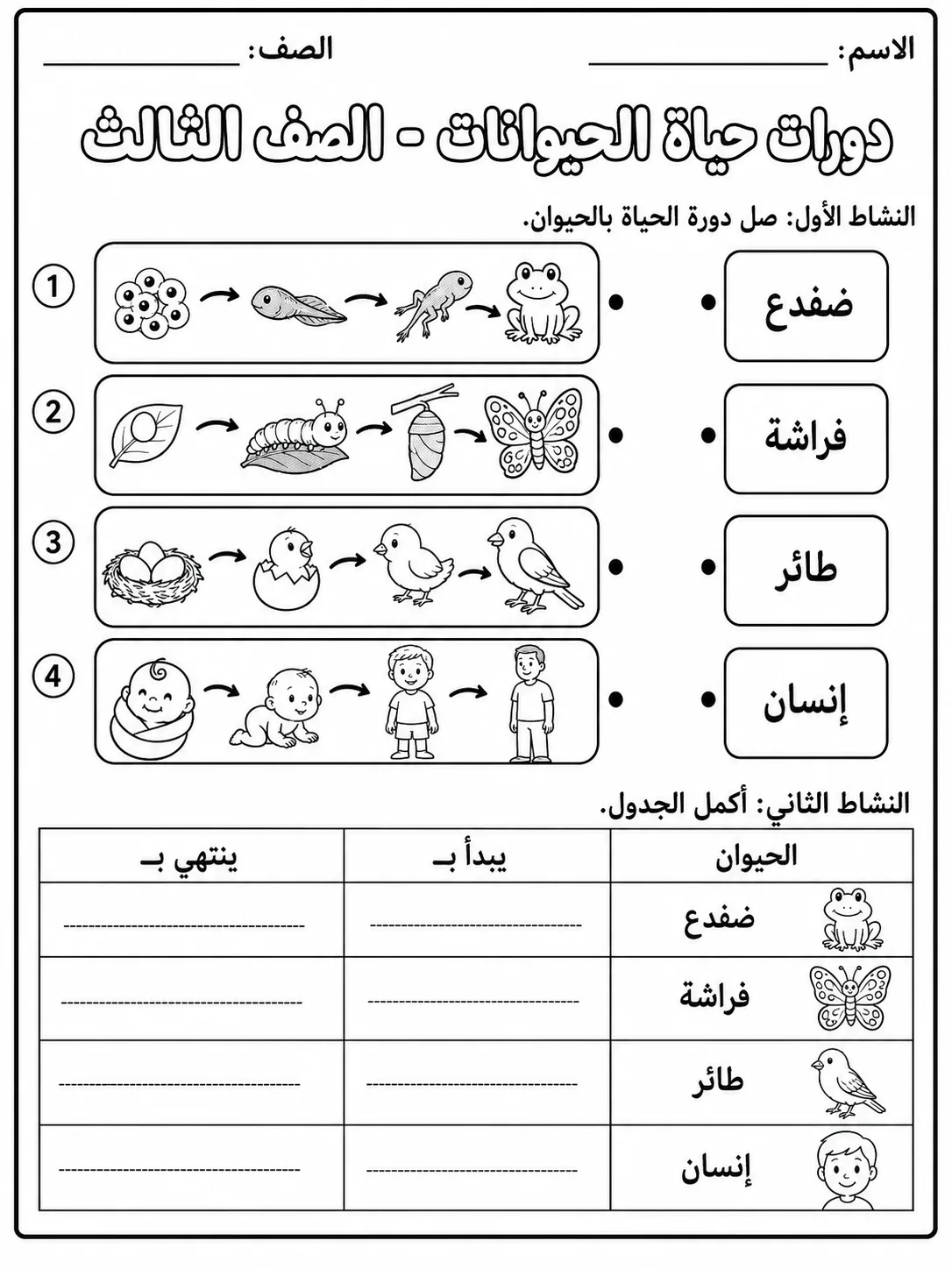 دورات حياة الحيوانات - الصف الثالث صفحة 6 من مورد علوم عربي