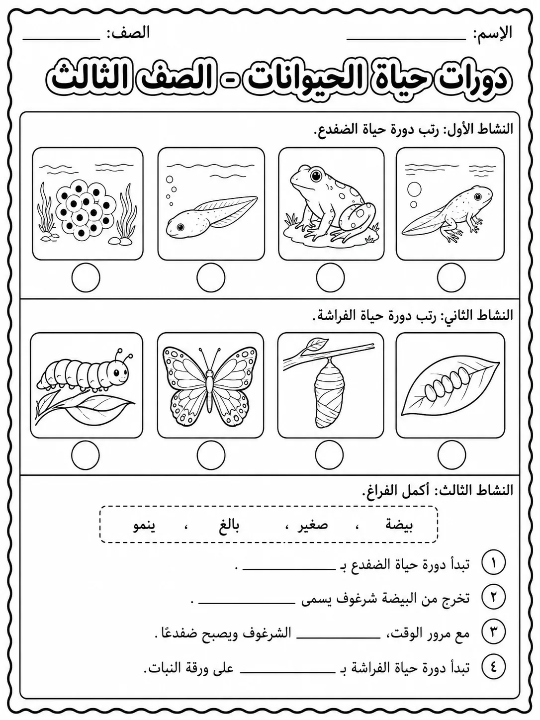 دورات حياة الحيوانات - الصف الثالث صفحة 7 من مورد علوم عربي