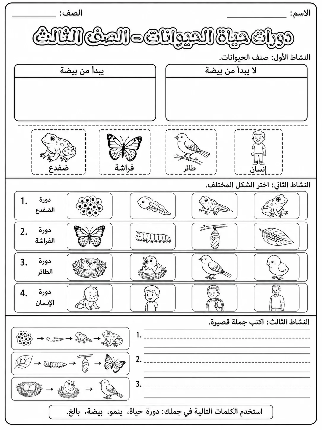 دورات حياة الحيوانات - الصف الثالث صفحة 8 من مورد علوم عربي