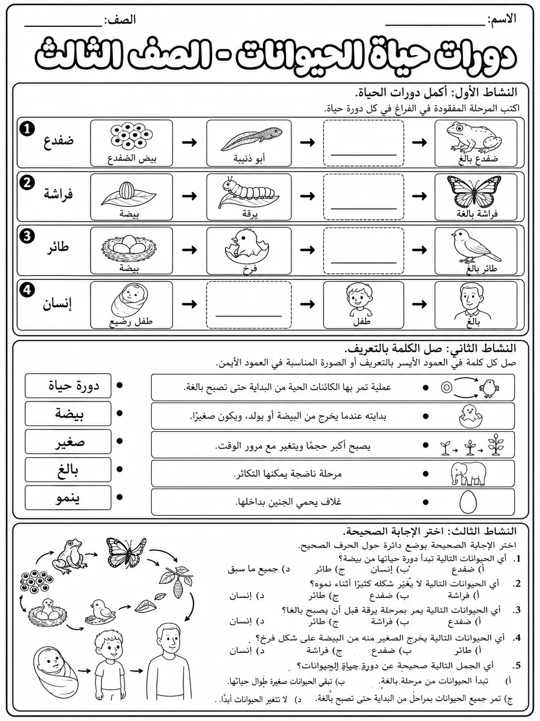 دورات حياة الحيوانات - الصف الثالث صفحة 9 من مورد علوم عربي