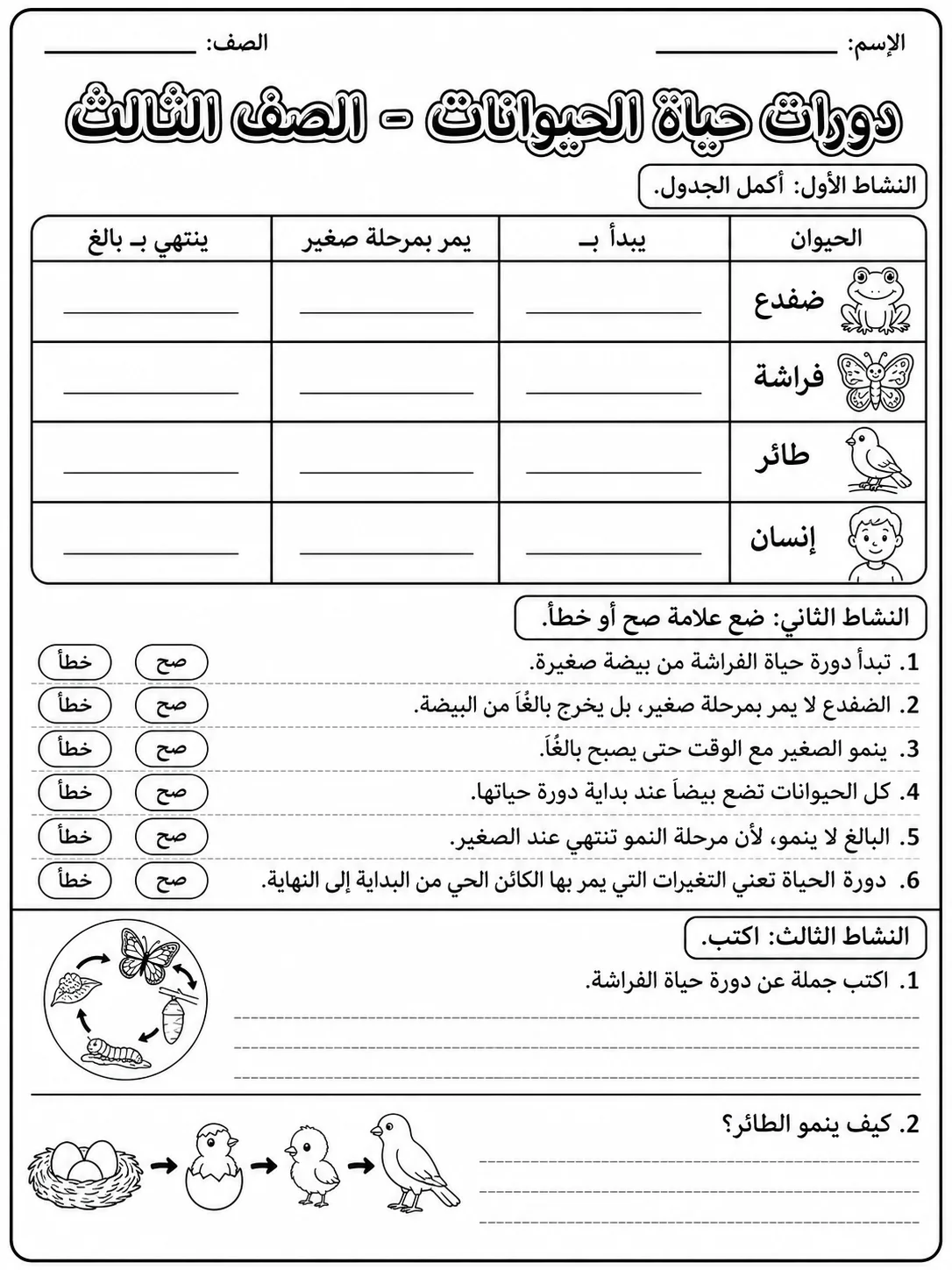 دورات حياة الحيوانات - الصف الثالث صفحة 10 من مورد علوم عربي