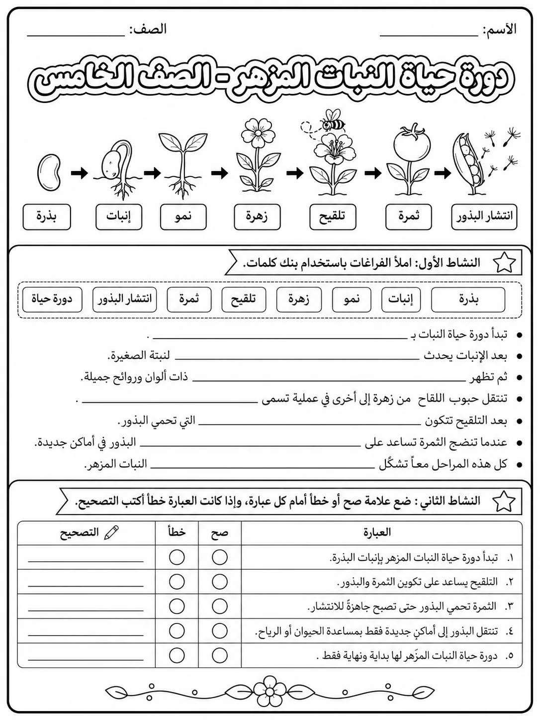 دورة حياة النبات المزهر - الصف الخامس صفحة 3 من مورد علوم عربي