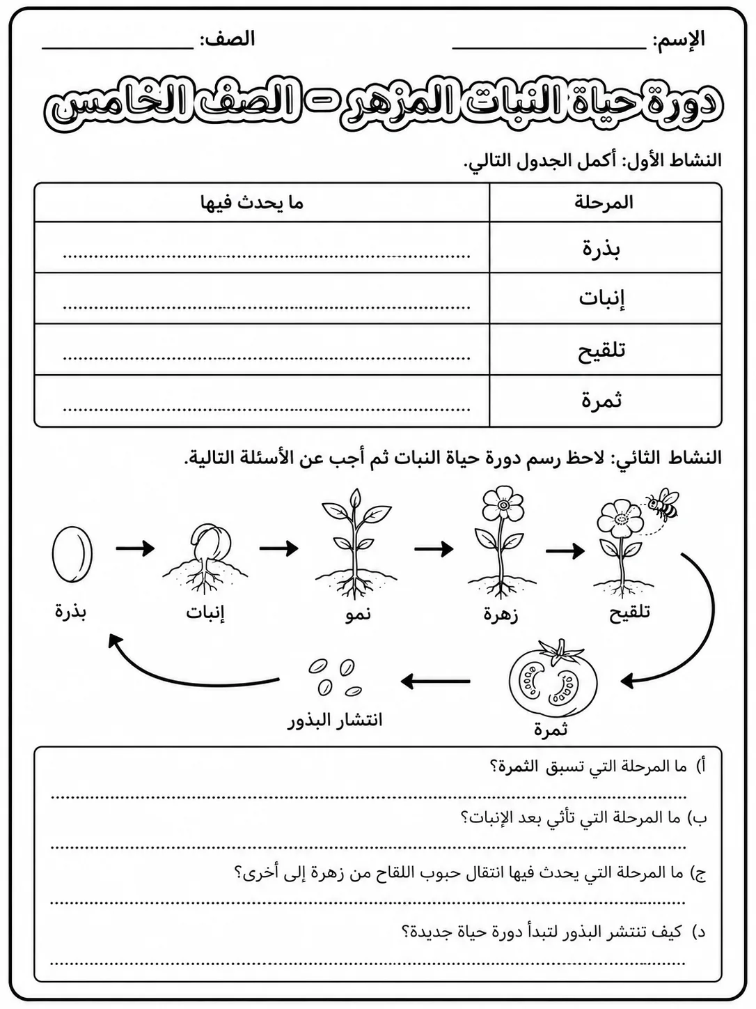 دورة حياة النبات المزهر - الصف الخامس صفحة 4 من مورد علوم عربي