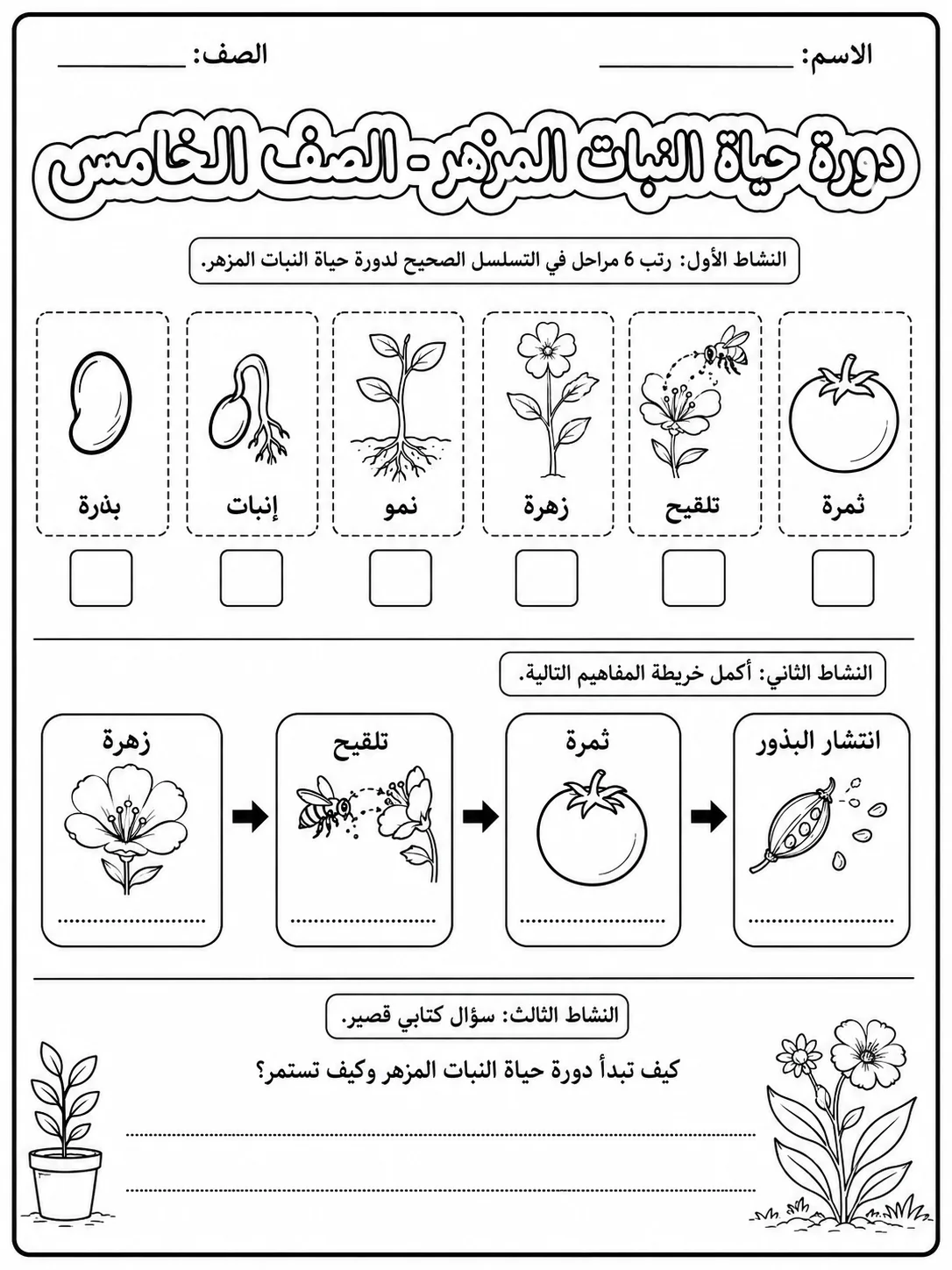 دورة حياة النبات المزهر - الصف الخامس صفحة 5 من مورد علوم عربي