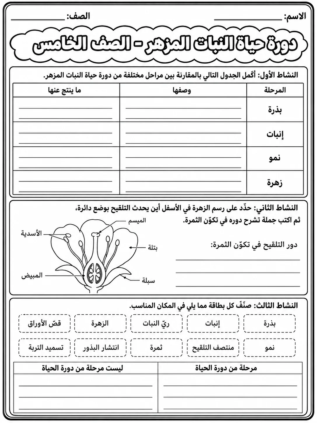 دورة حياة النبات المزهر - الصف الخامس صفحة 7 من مورد علوم عربي