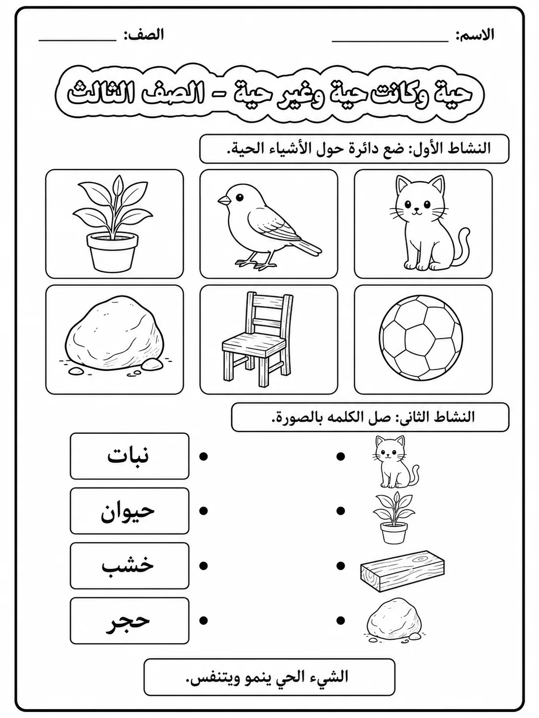 كائنات حية وكائنات غير حية - الصف الثالث - ورقة عمل علوم عربية PDF للطلاب