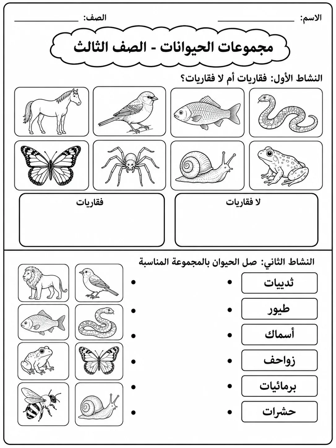 مجموعات الحيوانات - الصف الثالث صفحة 4 من مورد علوم عربي