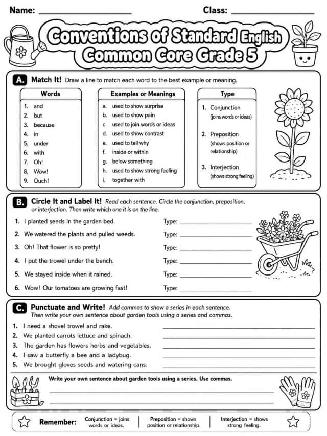 Conventions of Standard English Common Core Grade 5