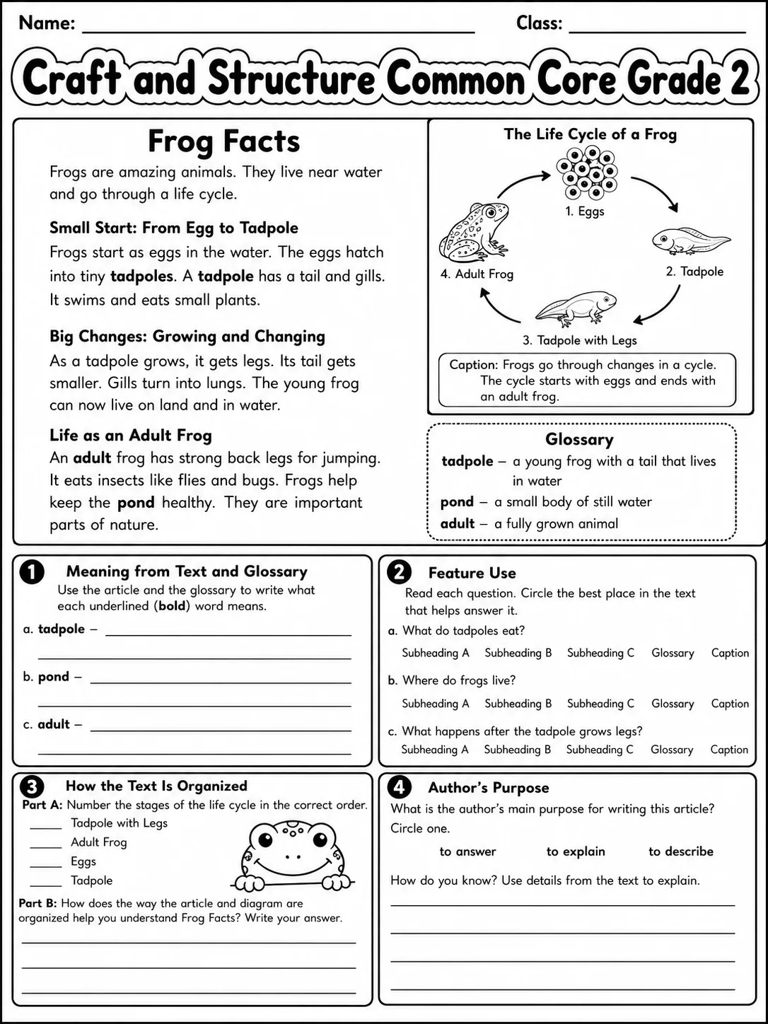 Craft and Structure Common Core Grade 2 page 7 printable Common Core ELA worksheet preview