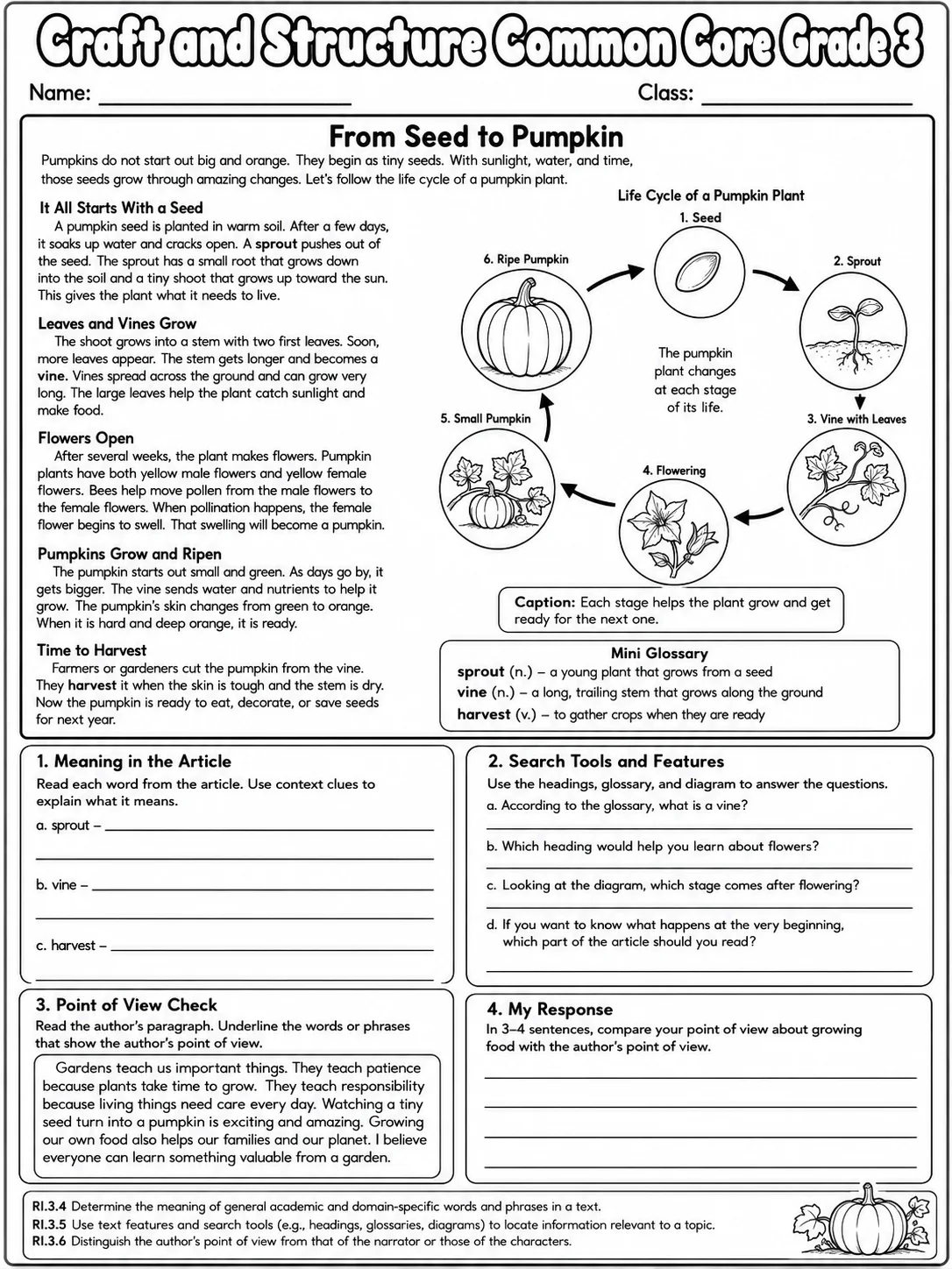 Craft and Structure Common Core Grade 3 page 7 printable Common Core ELA worksheet preview
