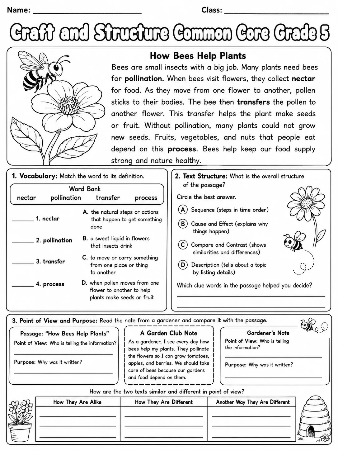 Craft and Structure Common Core Grade 5