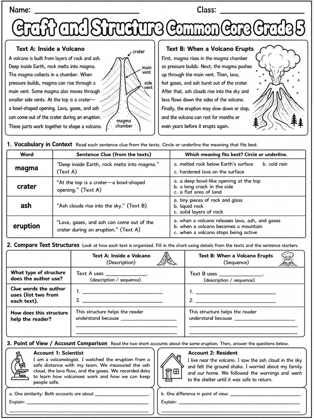 Craft and Structure Common Core Grade 5 page 2 printable Common Core ELA worksheet preview