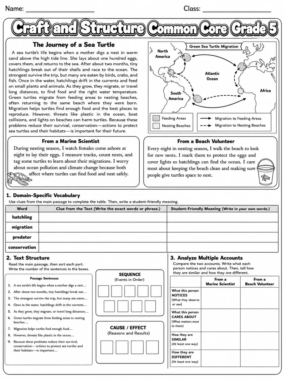 Craft and Structure Common Core Grade 5 page 4 printable Common Core ELA worksheet preview